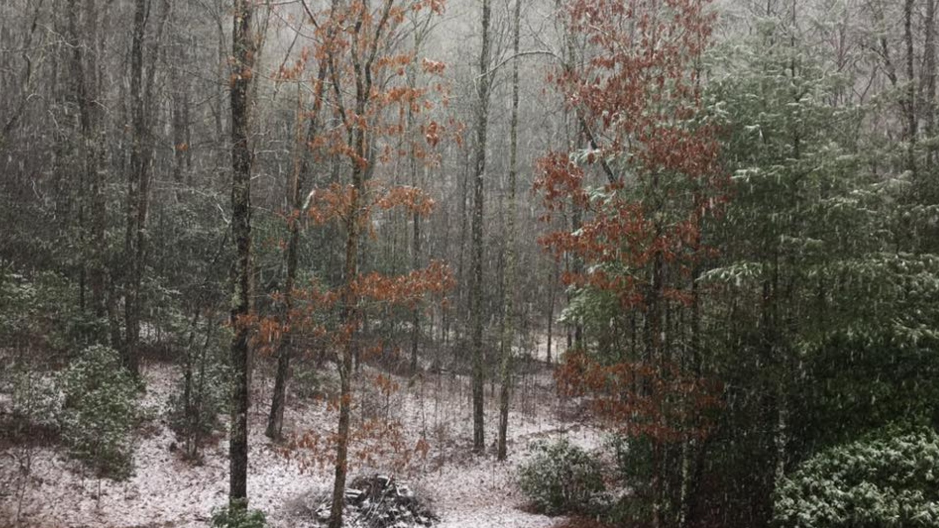 How To Prepare For School Delays Due To Winter Weather