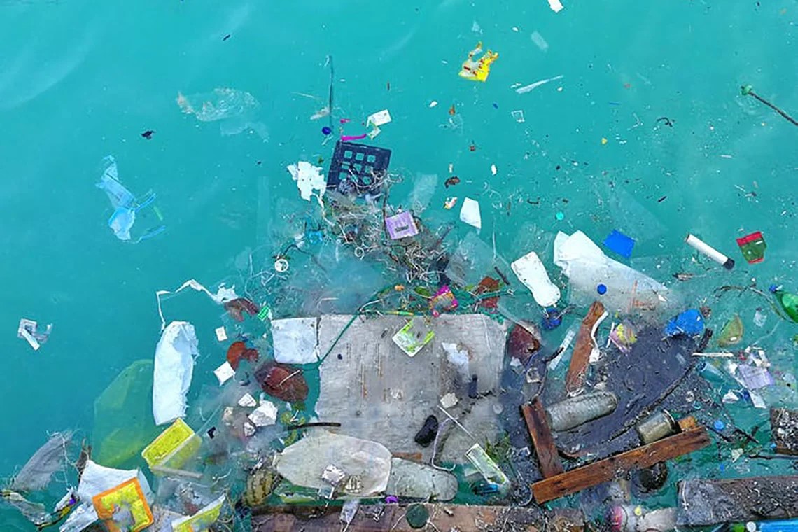 In Quale Acqua È Più Alta La Concentrazione Di Microplastiche? In Quale Acqua È Più Alta La Concentrazione Di Microplastiche?
