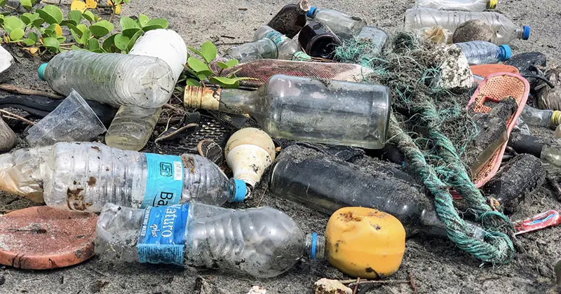 In Quale Acqua Troviamo Più Microplastiche? In Quale Acqua Troviamo Più Microplastiche?