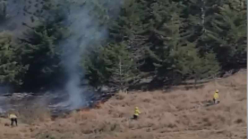 Incendio Consume Vegetación En Constanza; Bomberos Y Residentes Afectados Incendio Consume Vegetación En Constanza; Bomberos Y Residentes Afectados