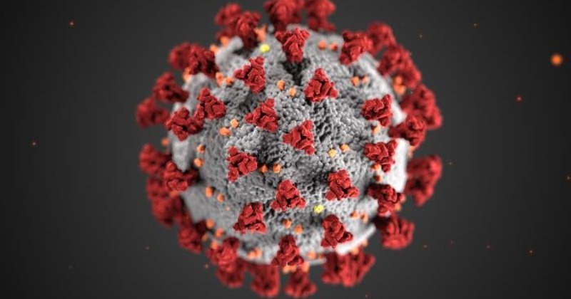 India Detects New COVID-19 Variants BA.1 And LF.7: Understanding The Risk India Detects New COVID-19 Variants BA.1 And LF.7: Understanding The Risk