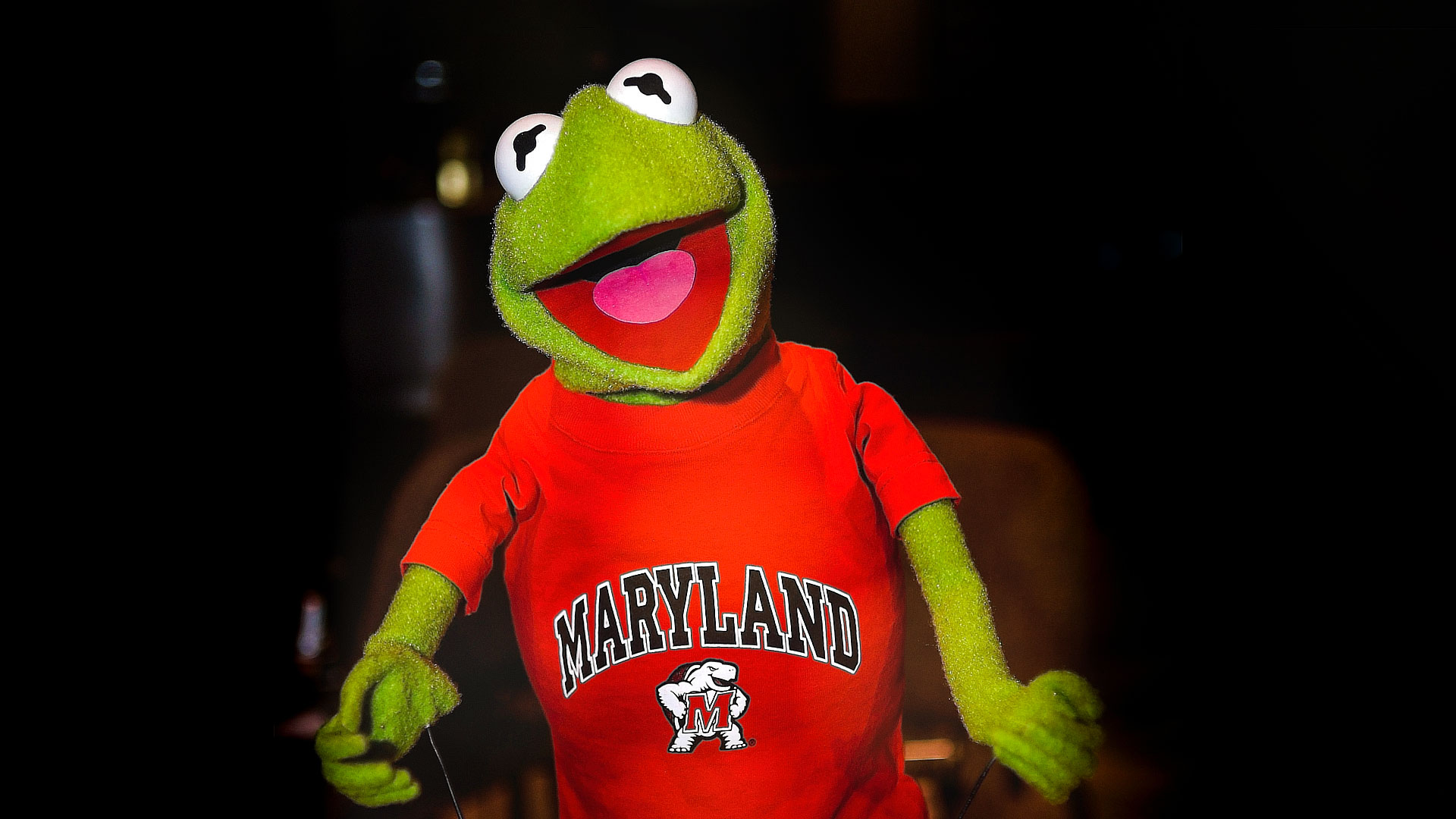 Internet Reacts: Kermit The Frog Speaks At UMD Graduation Internet Reacts: Kermit The Frog Speaks At UMD Graduation