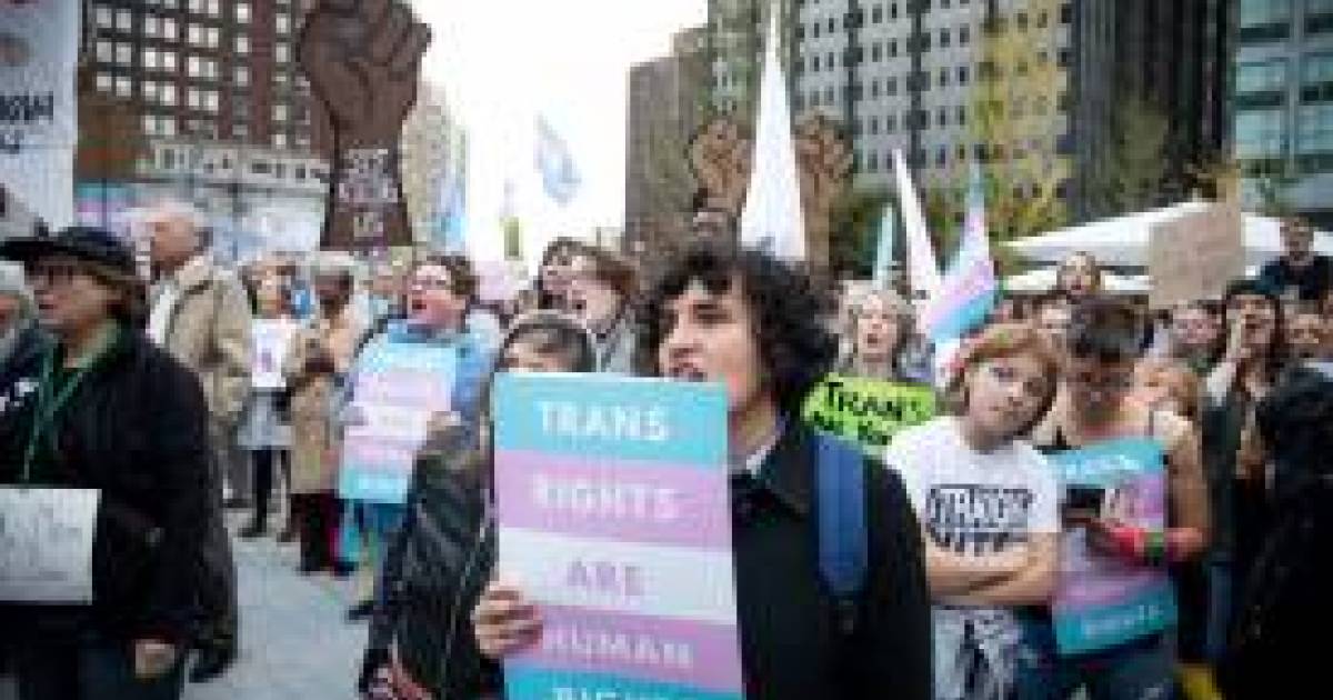 Investigating Claims Of US Funding For Transgender Mouse Studies Investigating Claims Of US Funding For Transgender Mouse Studies
