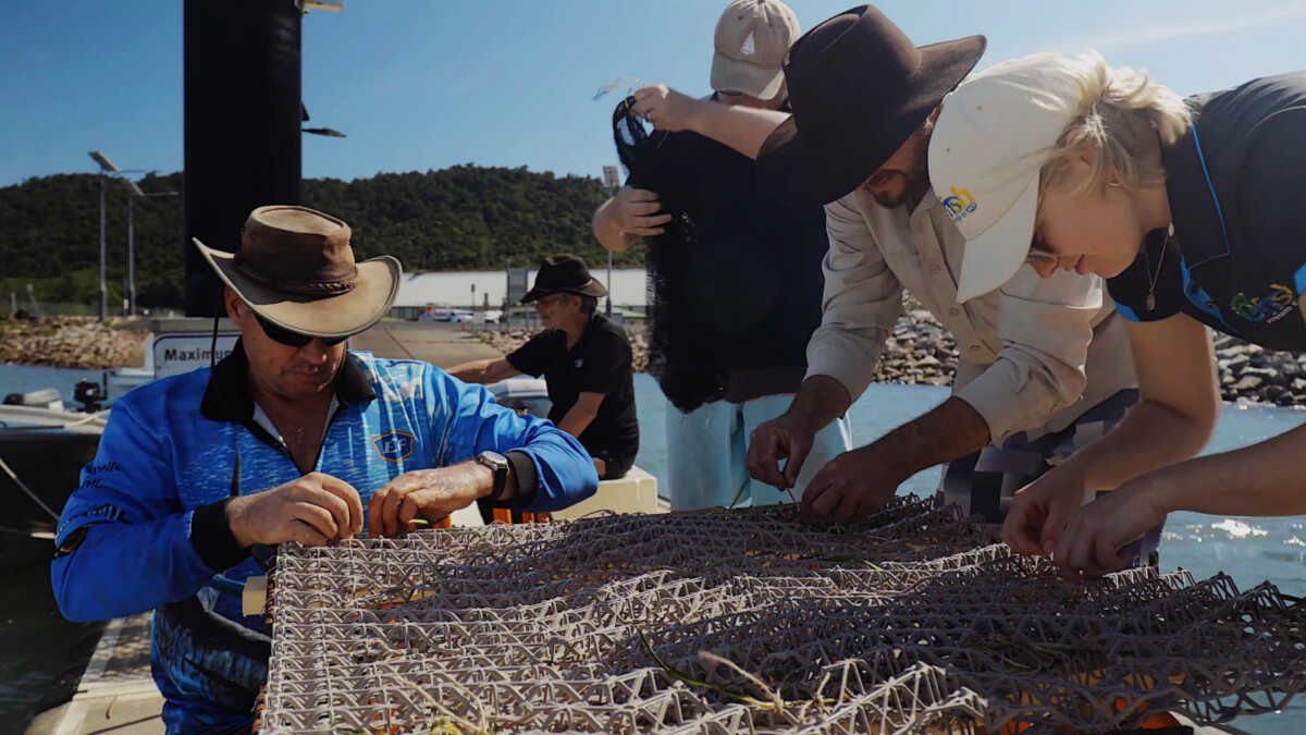 Investing In Scotland's Future: Seagrass Planting Initiatives Investing In Scotland's Future: Seagrass Planting Initiatives