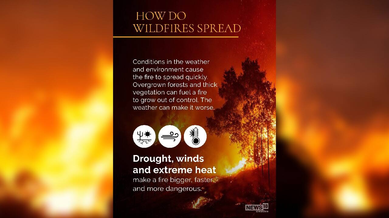 Is Betting On Wildfires Like The LA Fires A Sign Of The Times? Is Betting On Wildfires Like The LA Fires A Sign Of The Times?