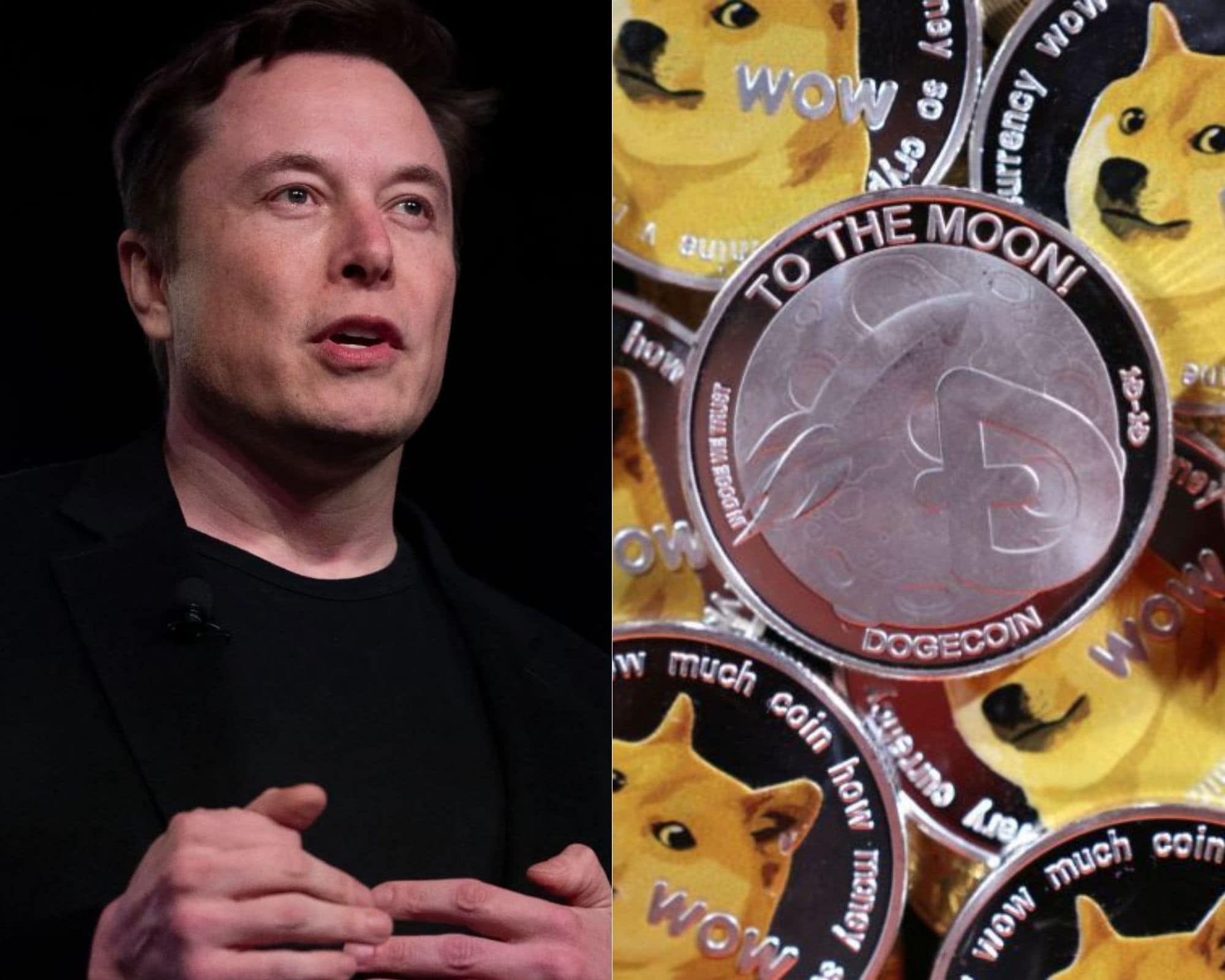 Is Elon Musk Selling His Dogecoin? A Look At His Recent Actions Is Elon Musk Selling His Dogecoin? A Look At His Recent Actions