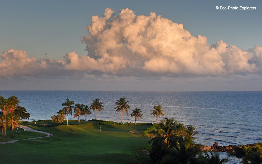 Jamaica's Montego Bay: Beyond The Beaches Jamaica's Montego Bay: Beyond The Beaches