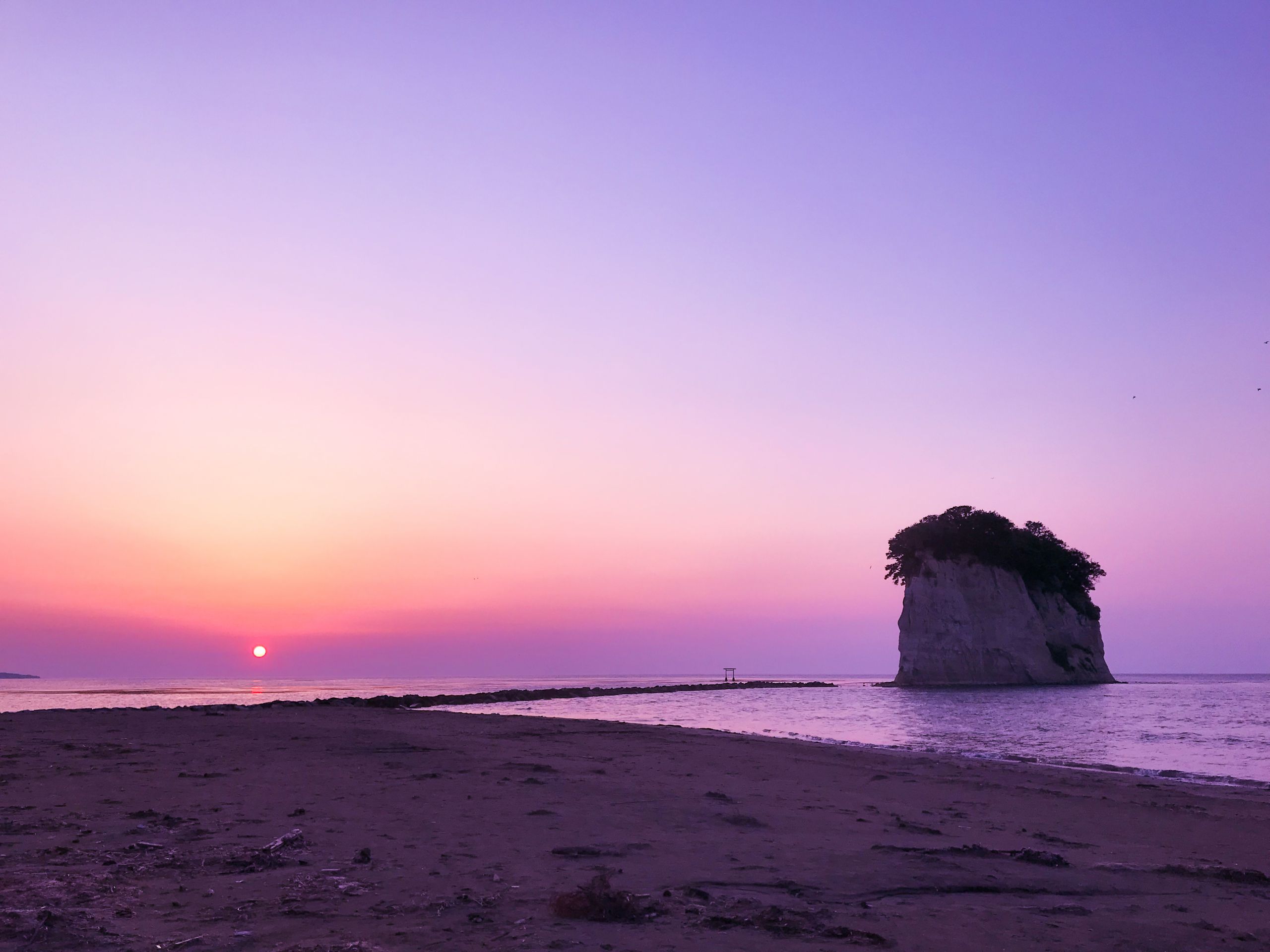 Japan's Metropolis For Solo Travelers Japan's Metropolis For Solo Travelers