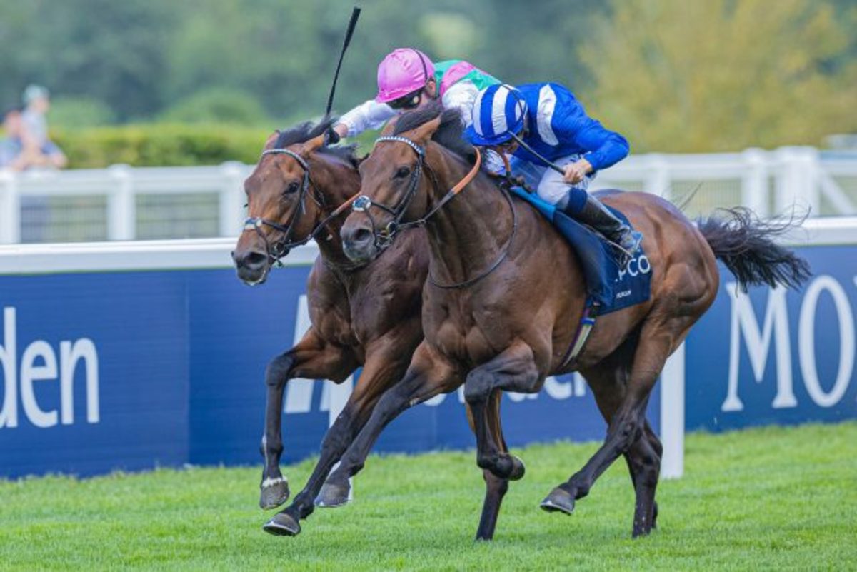 Jockey Suspended And Fined For Excessive Whipping In Kentucky Derby