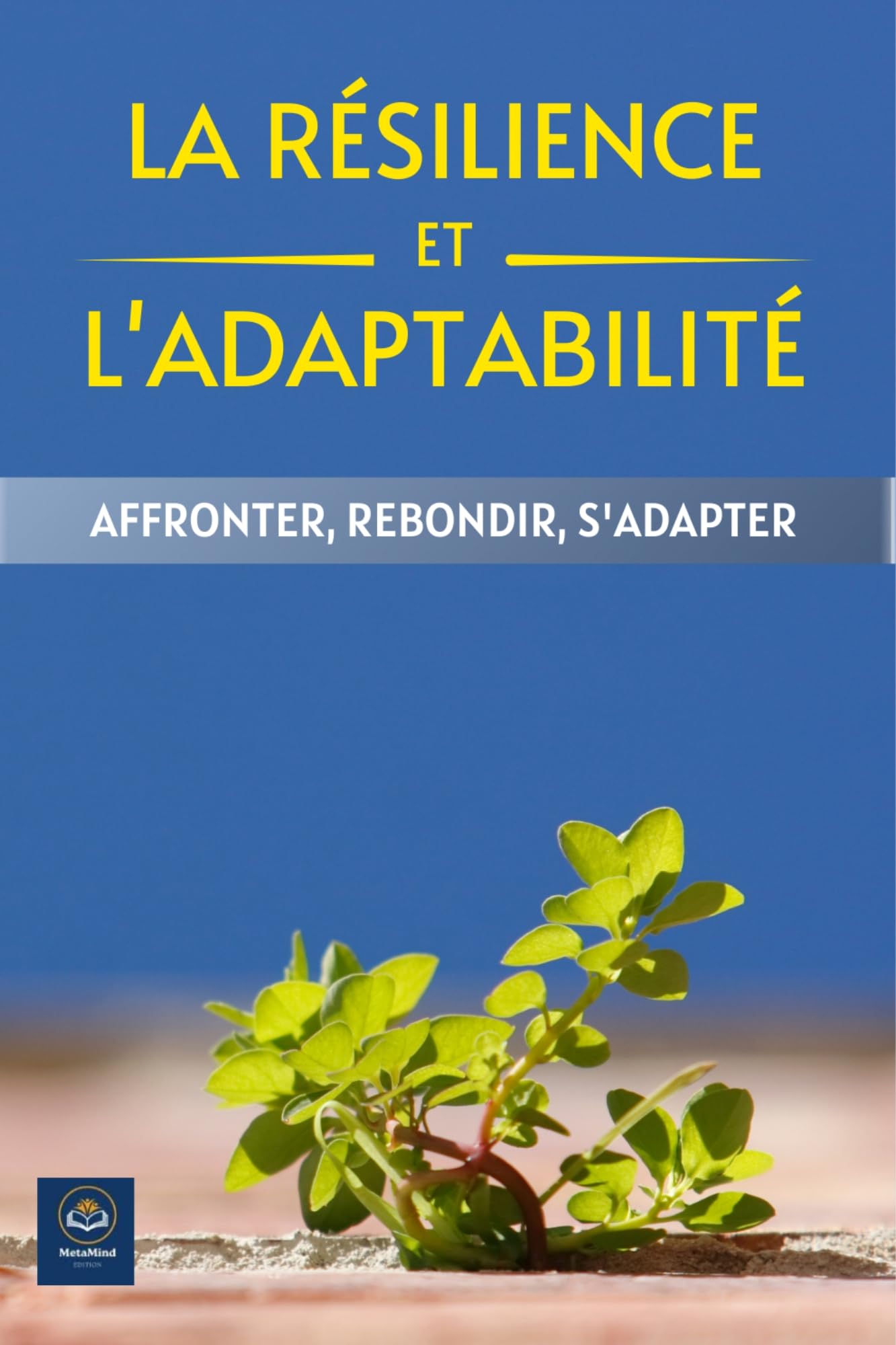 José Aldo : Résilience Et Adaptation Après La Défaite José Aldo : Résilience Et Adaptation Après La Défaite