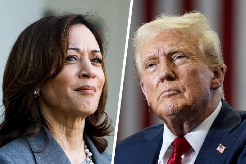 Kamala Harris' Political Future: When Will She Return? Kamala Harris' Political Future: When Will She Return?