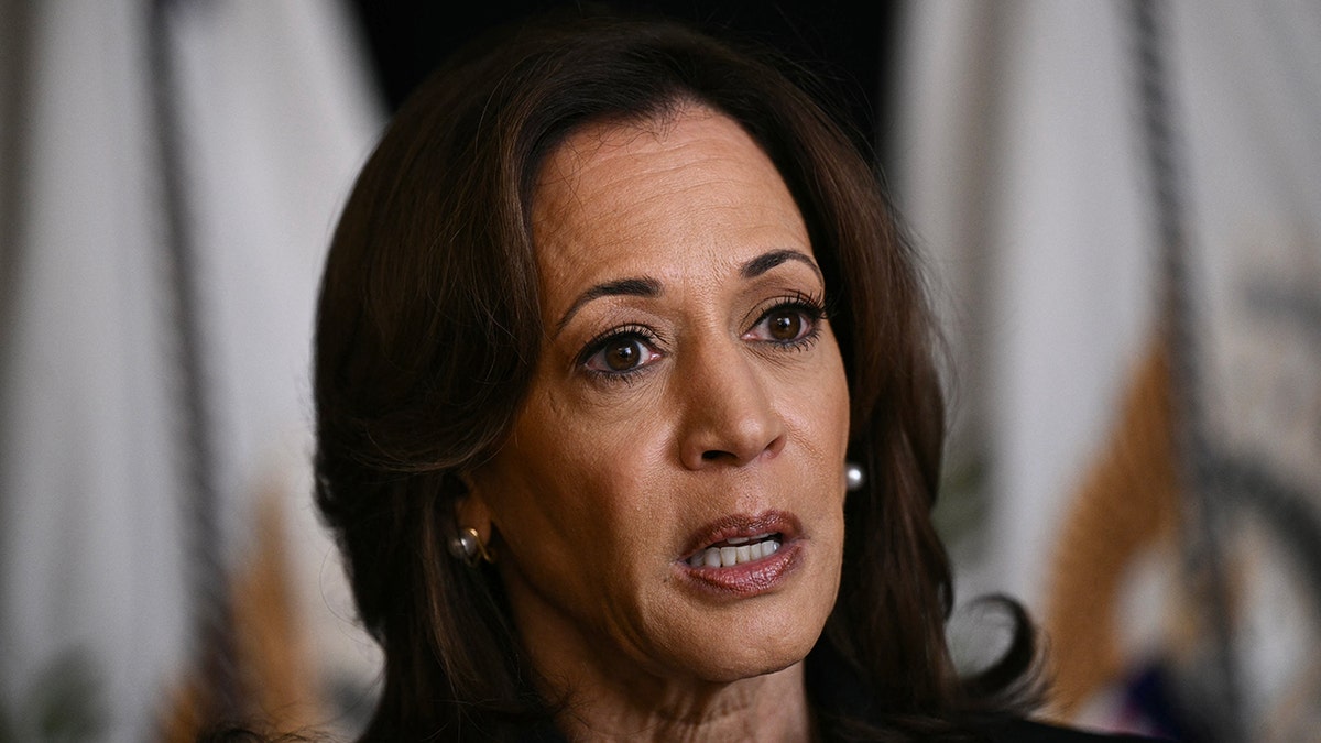 Kamala Harris's Evolving Role In American Politics Kamala Harris's Evolving Role In American Politics