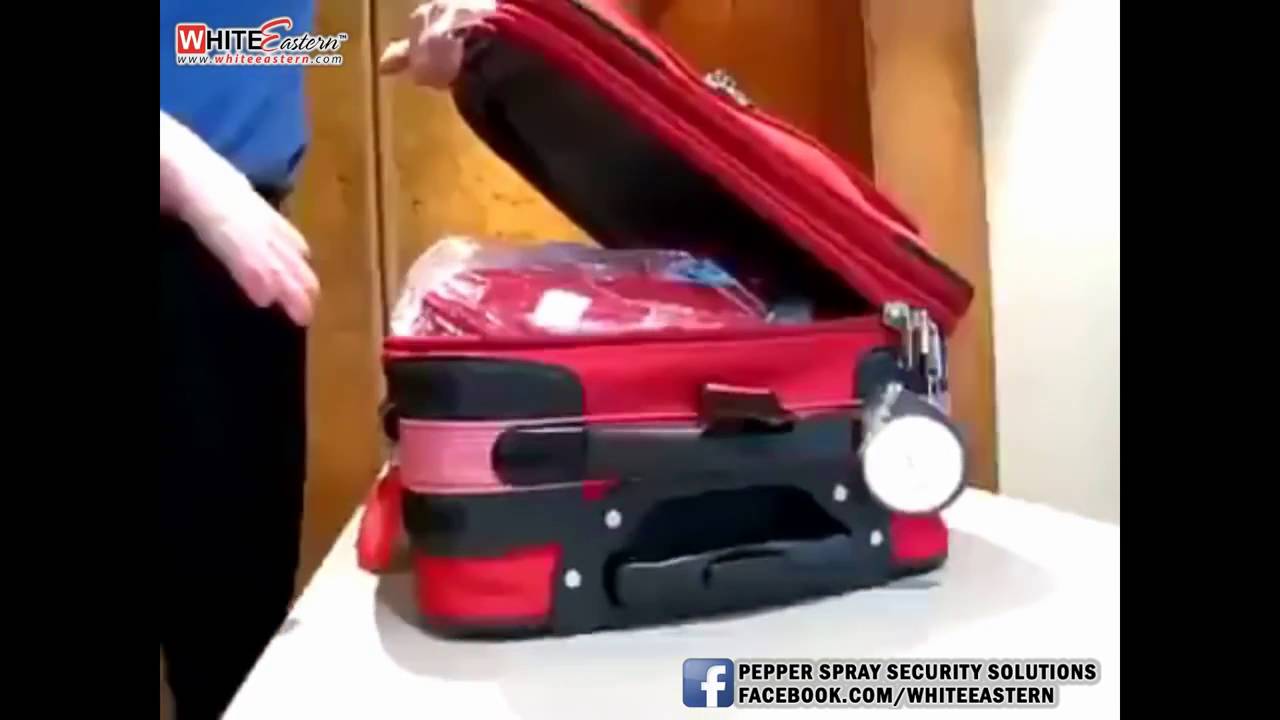 كاميرات مراقبة مطار الجزائر تفضح سرقة حقائب: اعتقال موظفين كاميرات مراقبة مطار الجزائر تفضح سرقة حقائب: اعتقال موظفين