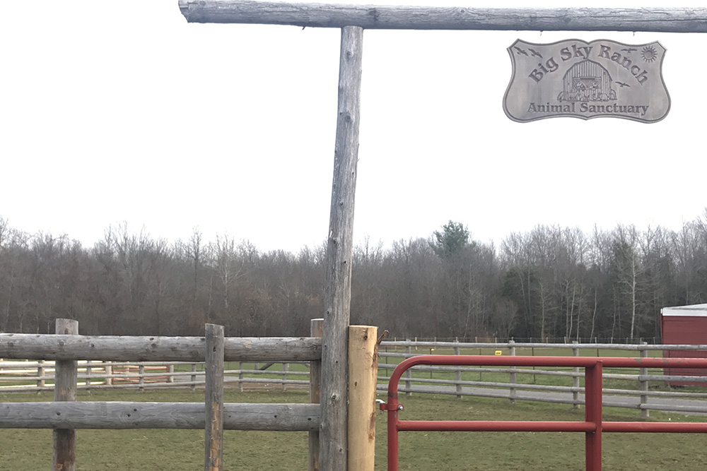 Klingbeil Honored For Commitment To Animal Protection Klingbeil Honored For Commitment To Animal Protection
