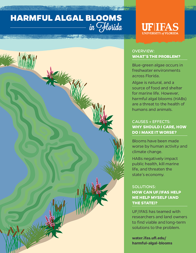 Kodiak Waters See Two Consecutive Harmful Algal Blooms: Shellfish Harvest Warning Kodiak Waters See Two Consecutive Harmful Algal Blooms: Shellfish Harvest Warning