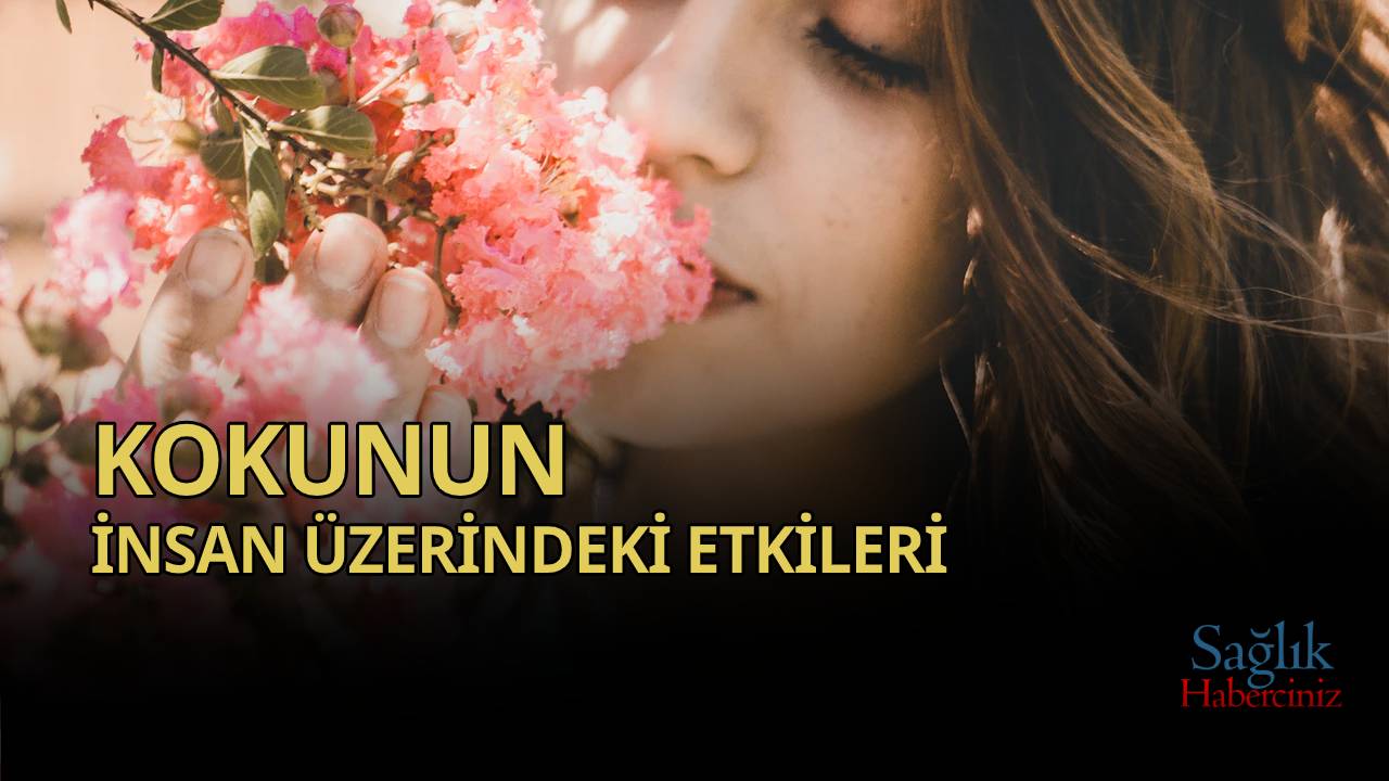 Kokunun İnsanlar Üzerindeki Etkisi Ve İtibar Kokunun İnsanlar Üzerindeki Etkisi Ve İtibar