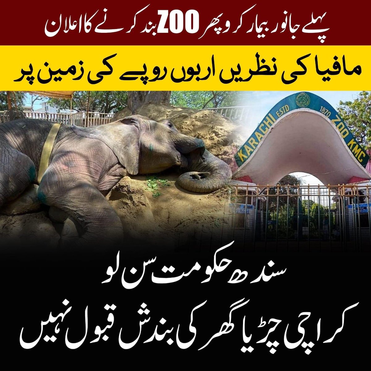 کشمیریوں کے حقوق: جنوبی ایشیاء میں امن کے لیے ایک لازمی شرط