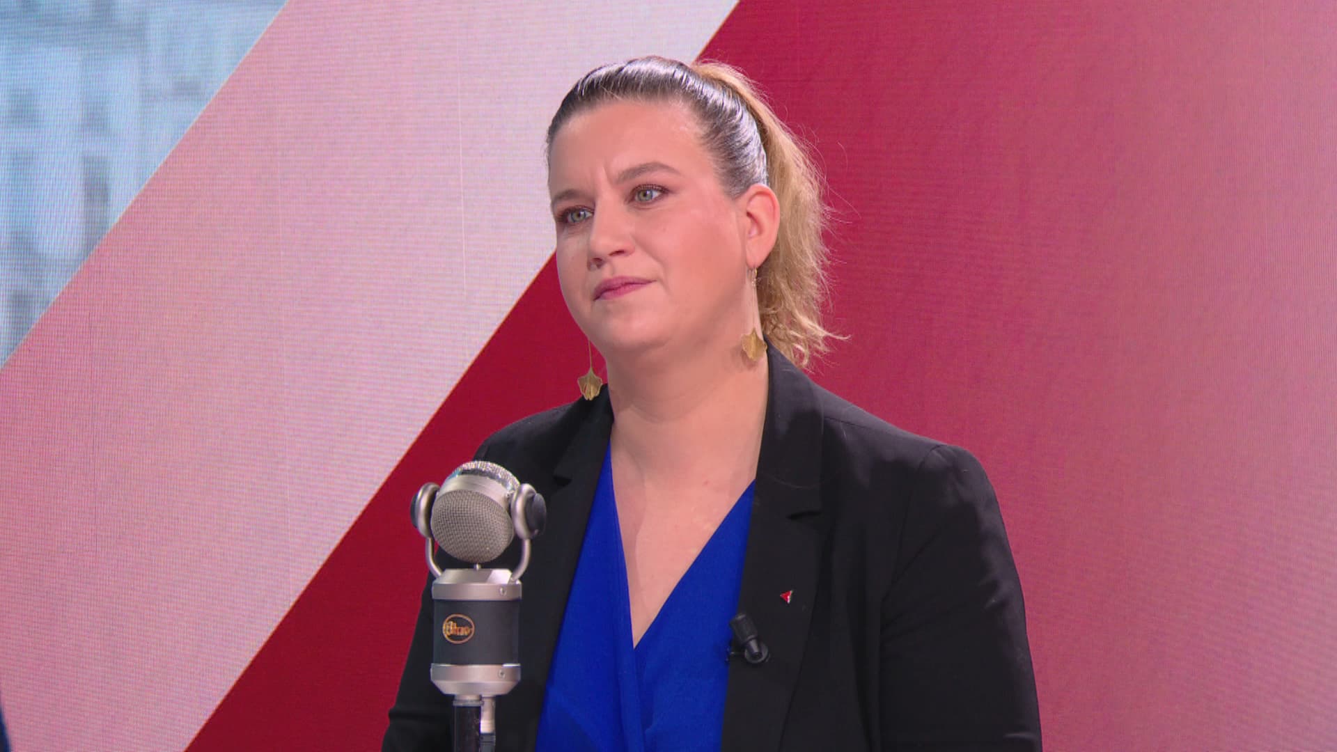 L'Assemblée Nationale :  Tensions Entre Le RN Et LFI Sur La Question Des Frontières