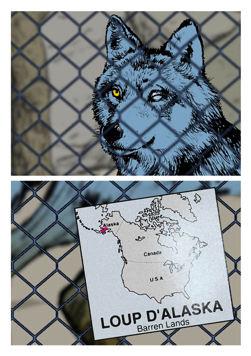 L'Œil Du Loup De Zurich Sur Sanofi: Analyse De La Croissance Et Des Perspectives Boursières L'Œil Du Loup De Zurich Sur Sanofi: Analyse De La Croissance Et Des Perspectives Boursières