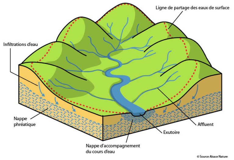 L'ingénierie Castor En Drôme : Observations Sur Deux Cours D'eau L'ingénierie Castor En Drôme : Observations Sur Deux Cours D'eau