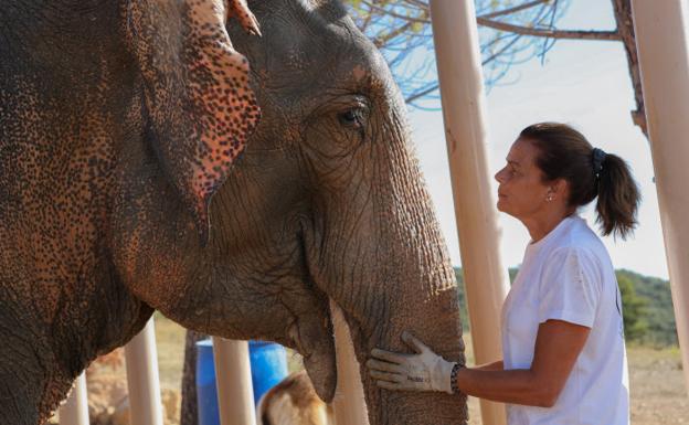 La Discreta Roc Agel: Un Vistazo A La Residencia De La Princesa Charlène En Mónaco La Discreta Roc Agel: Un Vistazo A La Residencia De La Princesa Charlène En Mónaco