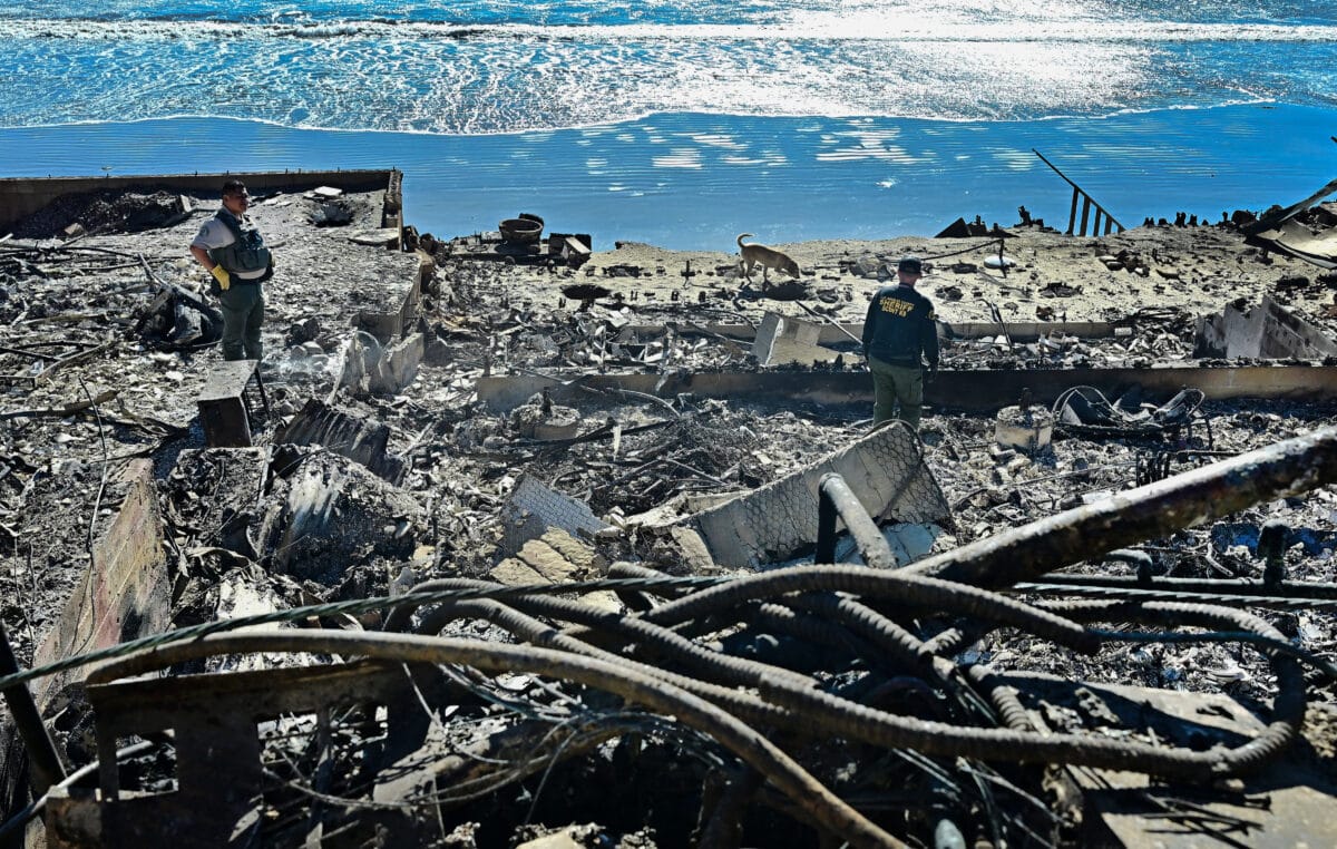 LA Fire Victims Face Price Gouging By Landlords: A Selling Sunset Star Speaks Out LA Fire Victims Face Price Gouging By Landlords: A Selling Sunset Star Speaks Out