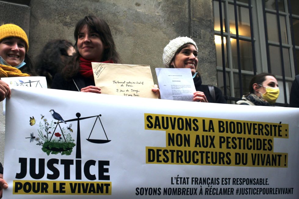 La Justice Pour Le Vivant: Un Regard Sur Le Sort Des Étoiles De Mer La Justice Pour Le Vivant: Un Regard Sur Le Sort Des Étoiles De Mer