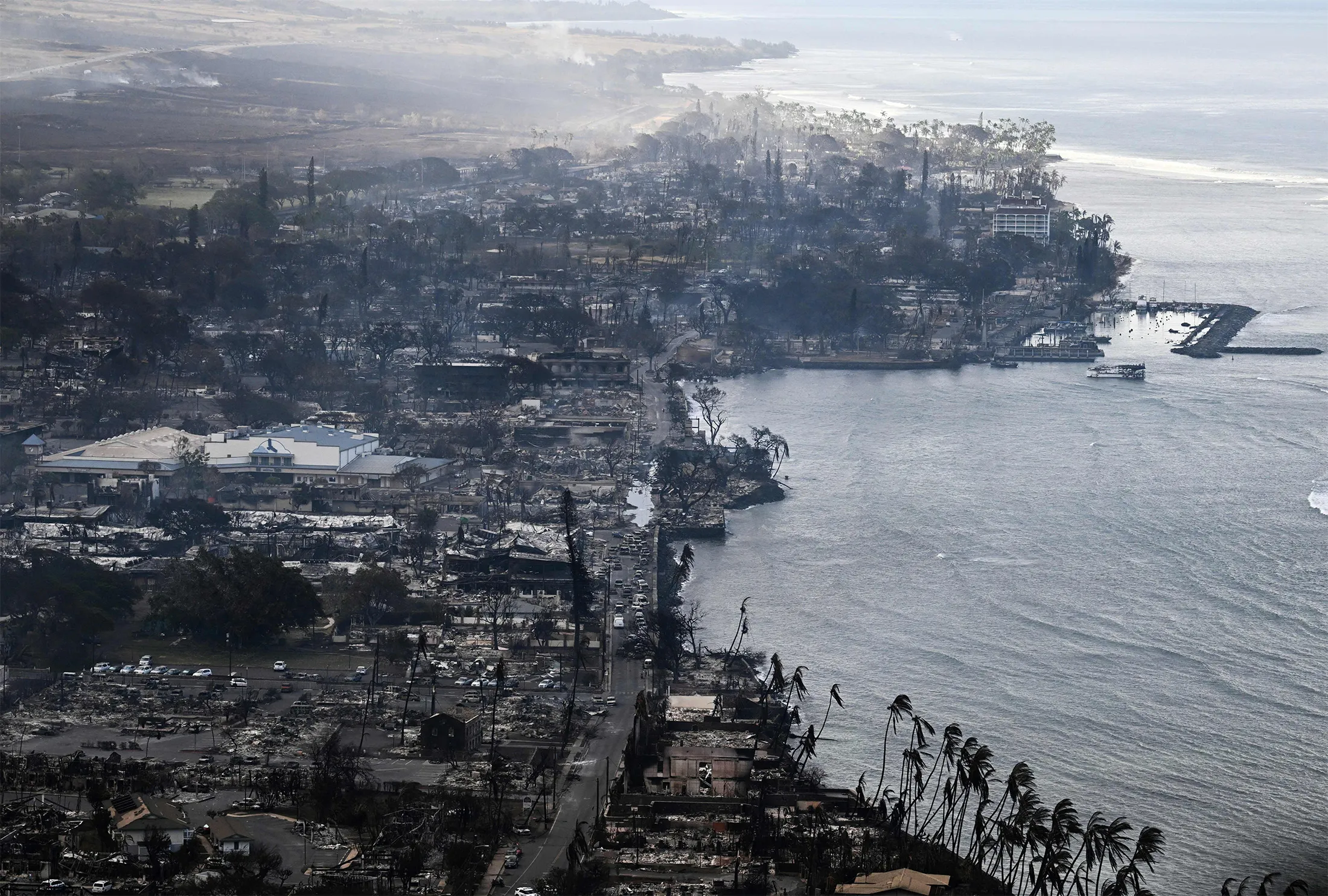 LA Palisades Fire: Impact On Celebrity Homes – Full List LA Palisades Fire: Impact On Celebrity Homes – Full List