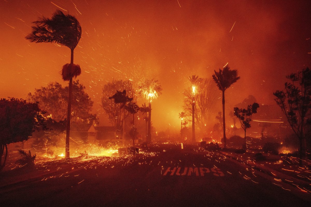 LA Palisades Wildfires: Which Celebrities Lost Their Homes? LA Palisades Wildfires: Which Celebrities Lost Their Homes?