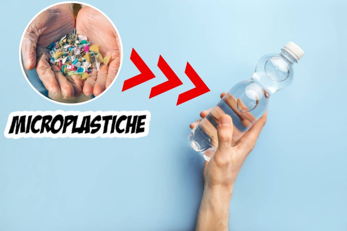 La Presenza Di Microplastiche Nelle Diverse Fonti D'acqua La Presenza Di Microplastiche Nelle Diverse Fonti D'acqua