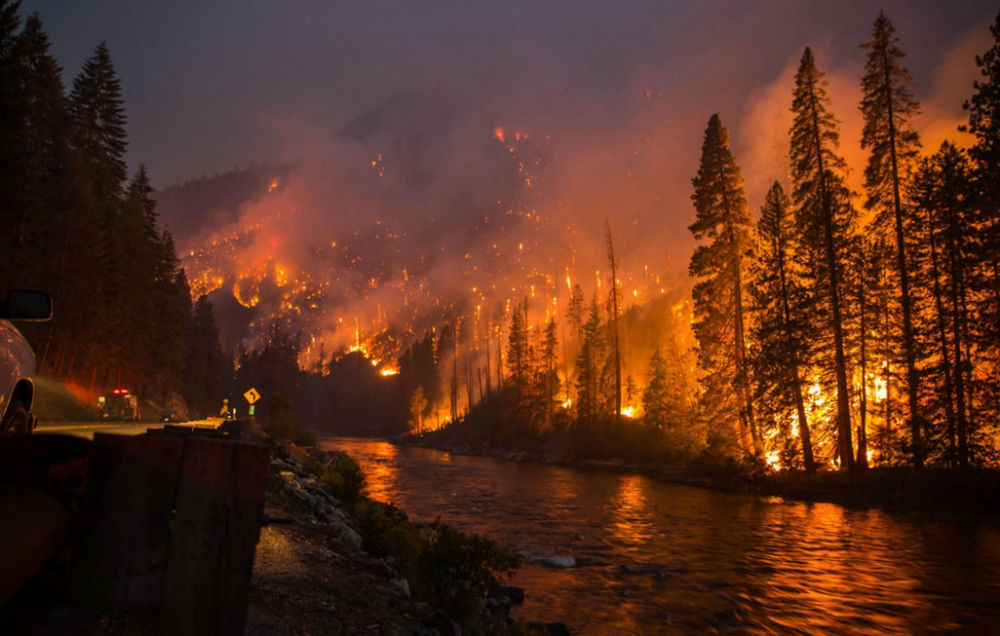 LA Wildfires: A Reflection Of Our Times Through Disaster Betting Markets LA Wildfires: A Reflection Of Our Times Through Disaster Betting Markets