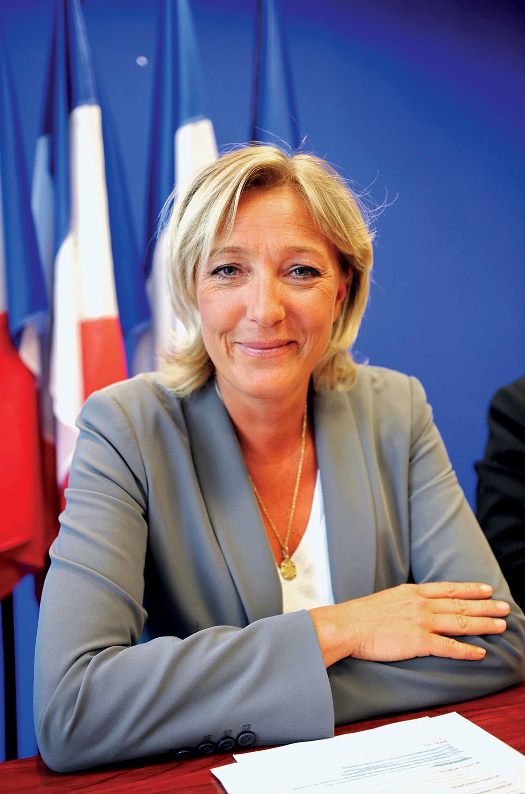 Le Pen's Support Base: Assessing The National Rally's Sunday Demonstration Le Pen's Support Base: Assessing The National Rally's Sunday Demonstration