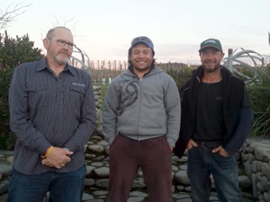 Living Fences: Planning, Planting, And Pruning For Success