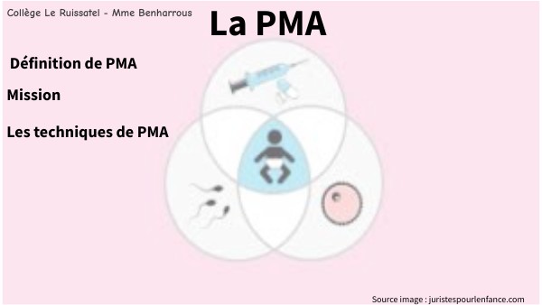 Lograr La Graduación De PMA A Toda Velocidad: El Impacto De La Asistencia Lograr La Graduación De PMA A Toda Velocidad: El Impacto De La Asistencia
