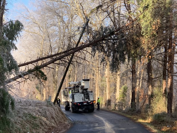 Louisville Residents: Submit Storm Debris Pickup Requests