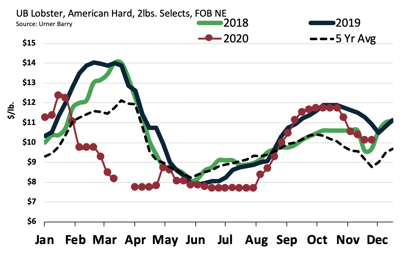 Low Lobster Prices And Global Economic Turmoil Impact Atlantic Canada's Fishing Industry Low Lobster Prices And Global Economic Turmoil Impact Atlantic Canada's Fishing Industry