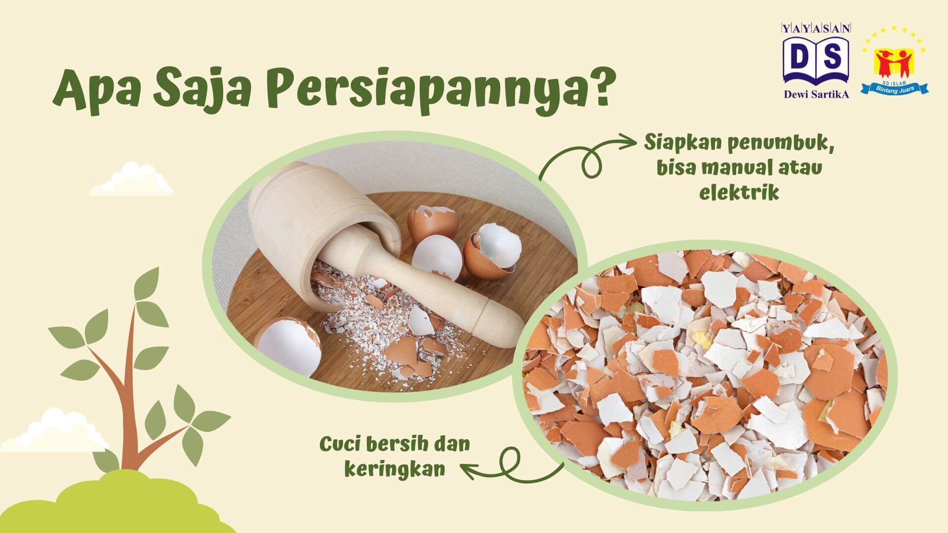 Manfaat Cangkang Telur: Lebih Dari Sekadar Sampah Manfaat Cangkang Telur: Lebih Dari Sekadar Sampah