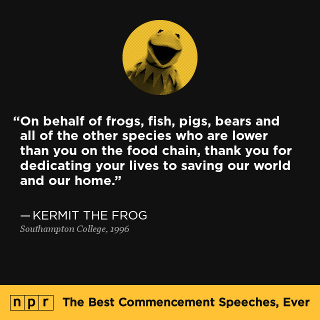 Maryland University's 2025 Commencement: Kermit The Frog To Speak Maryland University's 2025 Commencement: Kermit The Frog To Speak