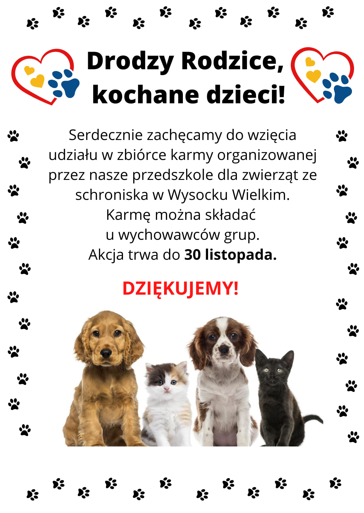 Międzynarodowy Dzień Zwierząt Bezdomnych: Wpływ Na Społeczeństwo I Środowisko (4 Kwietnia) Międzynarodowy Dzień Zwierząt Bezdomnych: Wpływ Na Społeczeństwo I Środowisko (4 Kwietnia)
