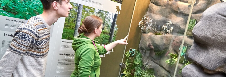 Nationalpark Sächsische Schweiz Gewinnt Fünf Neue Partner Nationalpark Sächsische Schweiz Gewinnt Fünf Neue Partner