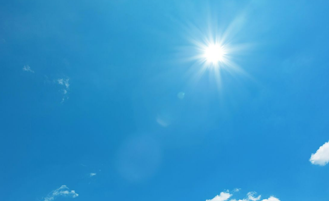 Navi Mumbai Heatwave Alert: NMMC's Aala Unhala, Niyam Pala Campaign Details Navi Mumbai Heatwave Alert: NMMC's Aala Unhala, Niyam Pala Campaign Details