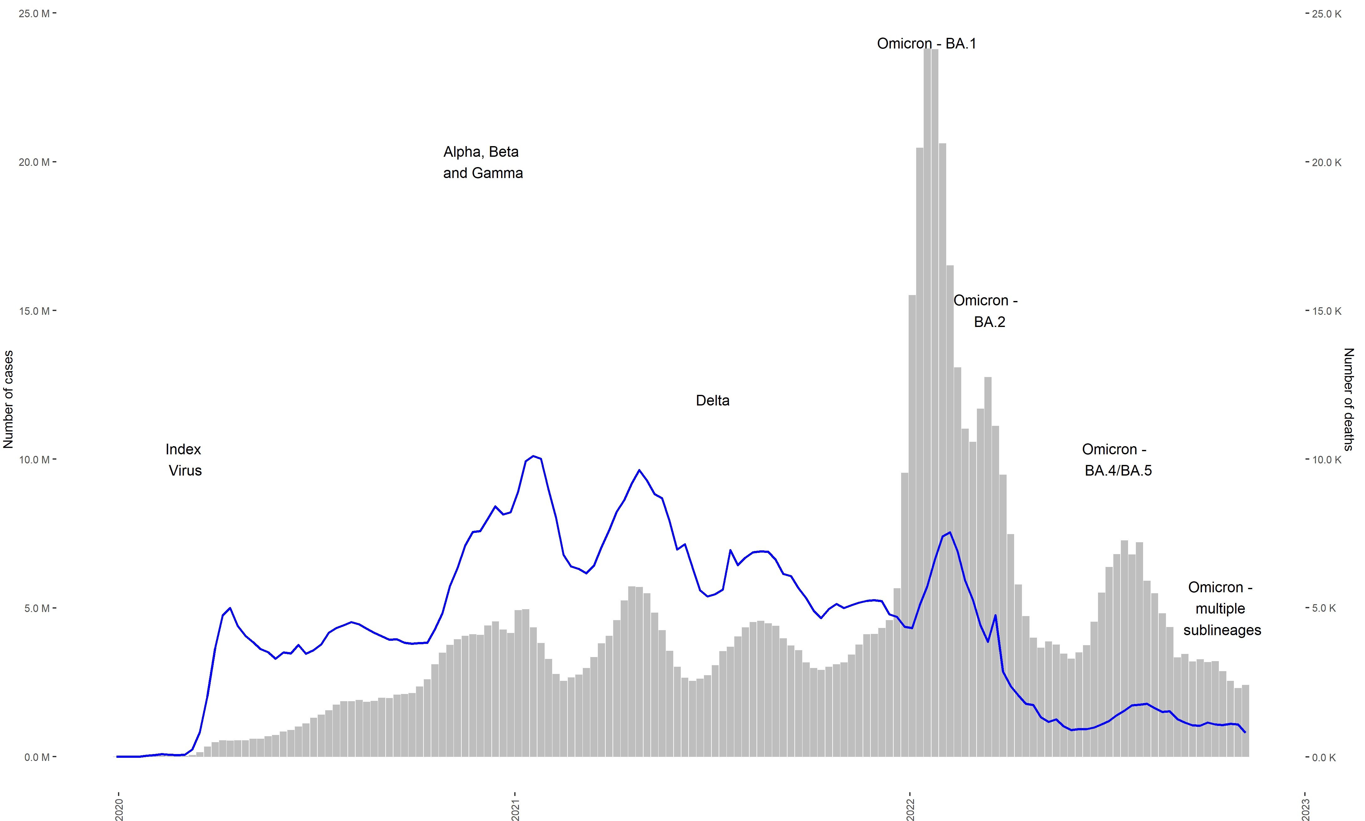 New COVID-19 Variant: WHO Reports Rising Cases Globally New COVID-19 Variant: WHO Reports Rising Cases Globally
