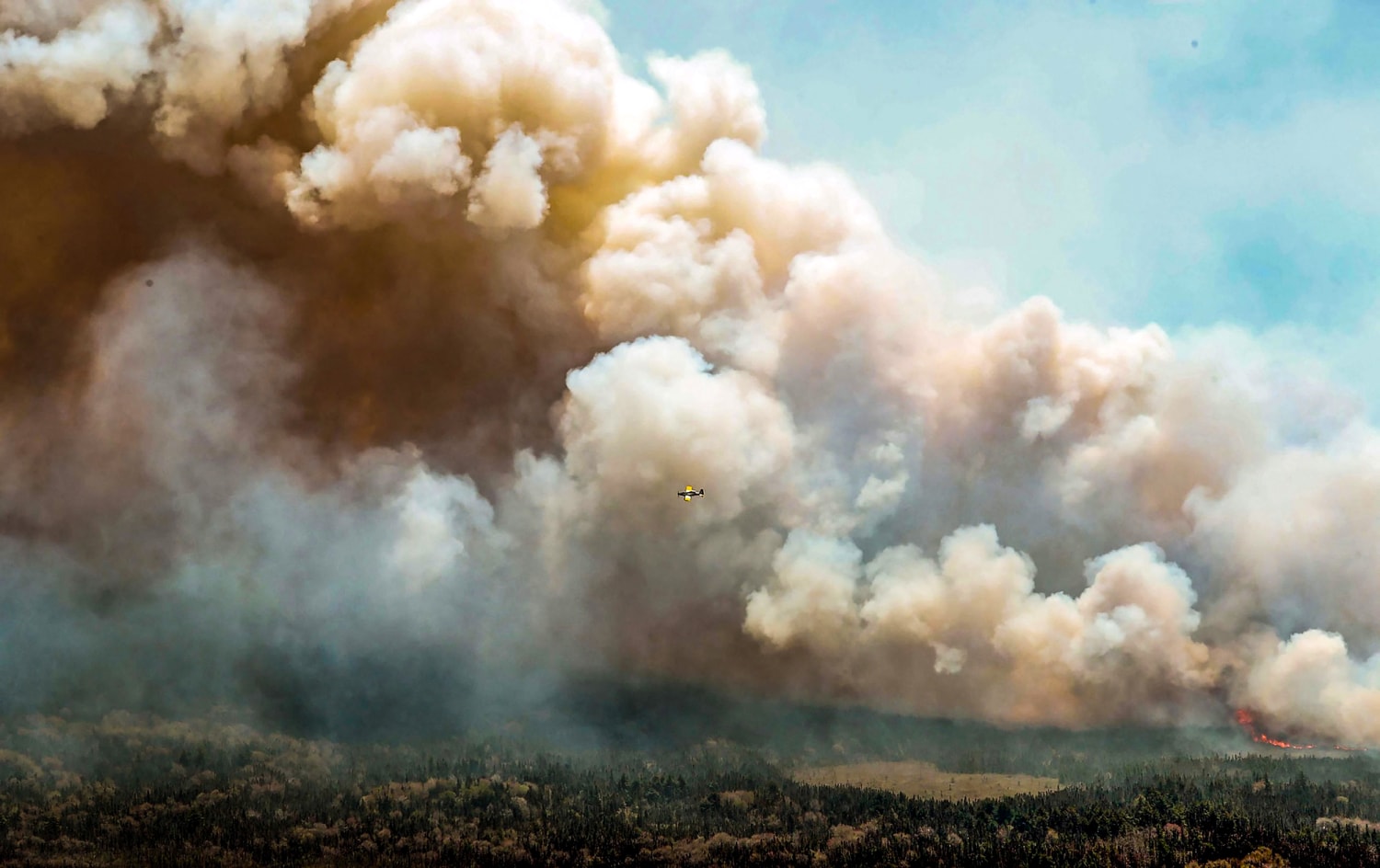 New York City's 3°C Temperature Plunge Linked To Canadian Wildfire Smoke New York City's 3°C Temperature Plunge Linked To Canadian Wildfire Smoke
