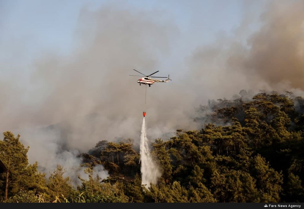 Newfoundland Wildfires Force Evacuations, Leave Homes In Ashes Newfoundland Wildfires Force Evacuations, Leave Homes In Ashes