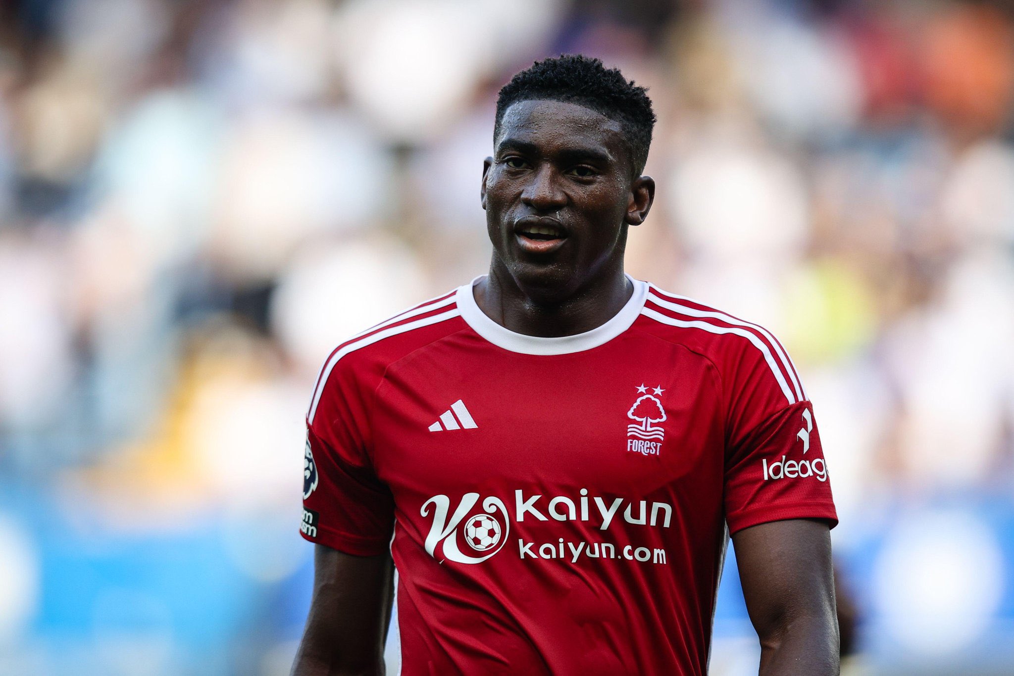 Nottingham Forest's Dominant Win: Aina And Awoniyi Shine Nottingham Forest's Dominant Win: Aina And Awoniyi Shine