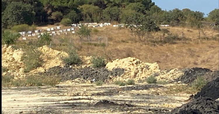 Olumsuz Koku, Olumsuz İtibar: Çözüm Yolları Olumsuz Koku, Olumsuz İtibar: Çözüm Yolları