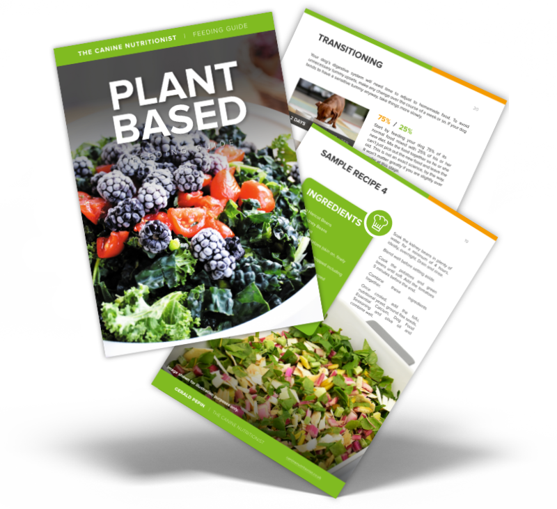 Omni's Plant-Based Dog Food: A Dragon's Den Success Story Omni's Plant-Based Dog Food: A Dragon's Den Success Story