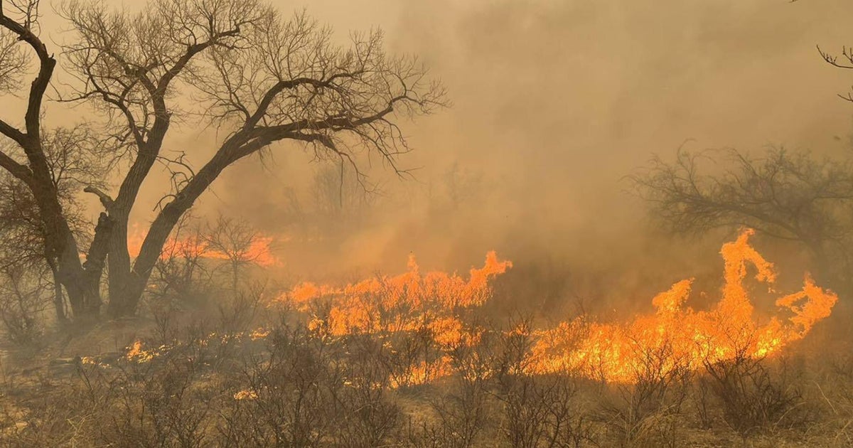 One Year After The Texas Panhandle Wildfire: Resilience And Rebirth One Year After The Texas Panhandle Wildfire: Resilience And Rebirth