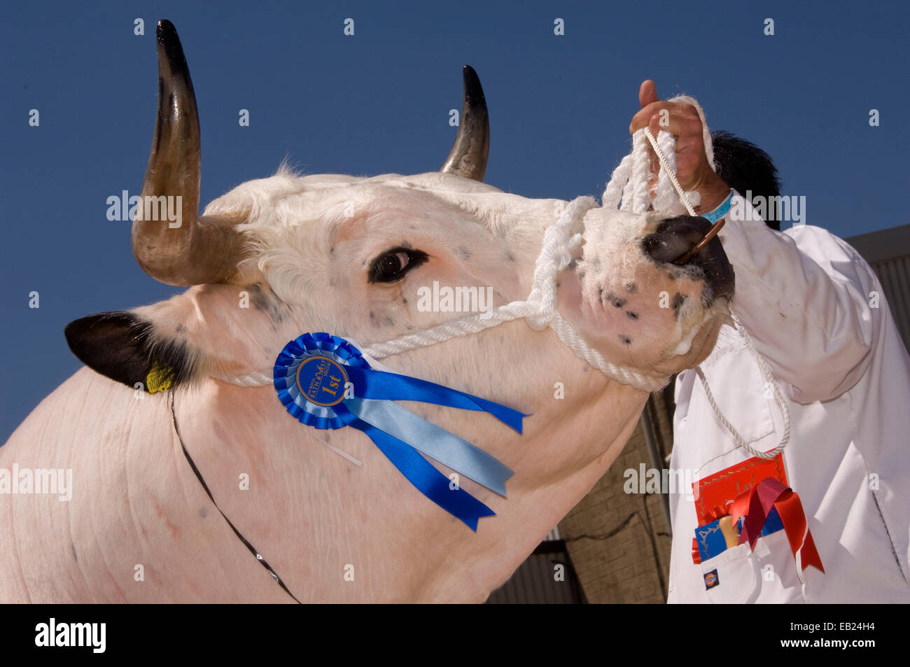 Plan Your Royal Bath & West Show Half-Term Family Day Out