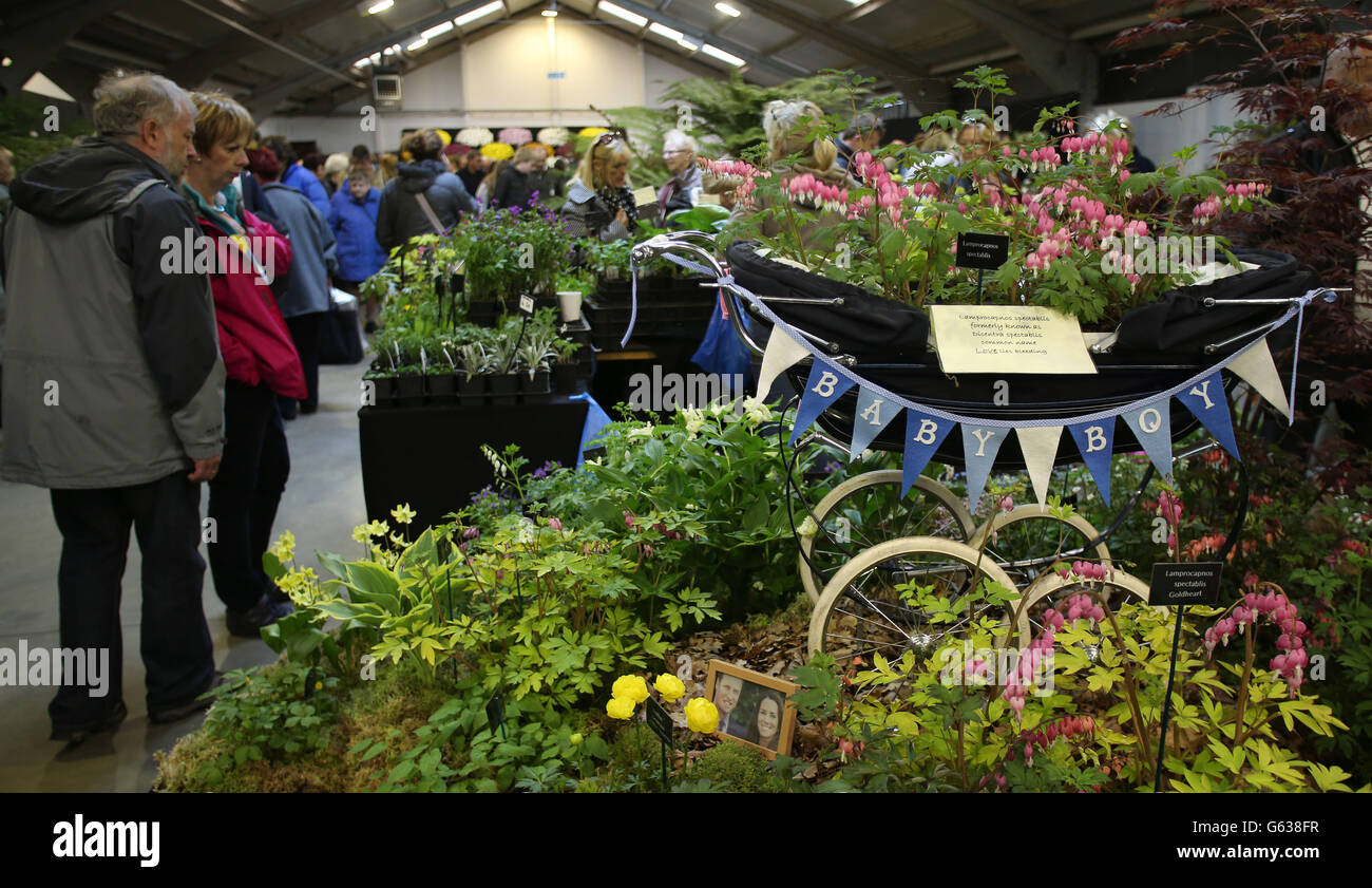 Plan Your Visit: Harrogate Spring Flower Show (April 24-27, 2025)